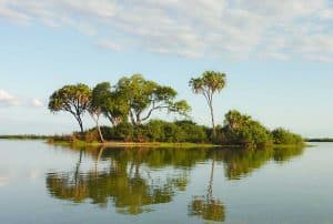 Rufiji river