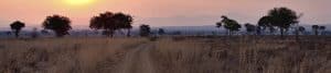 mikumi national park Savanna plain