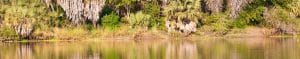 Rufiji river at Nyerere NP