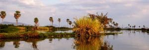 Nyerere NP Rufiji river
