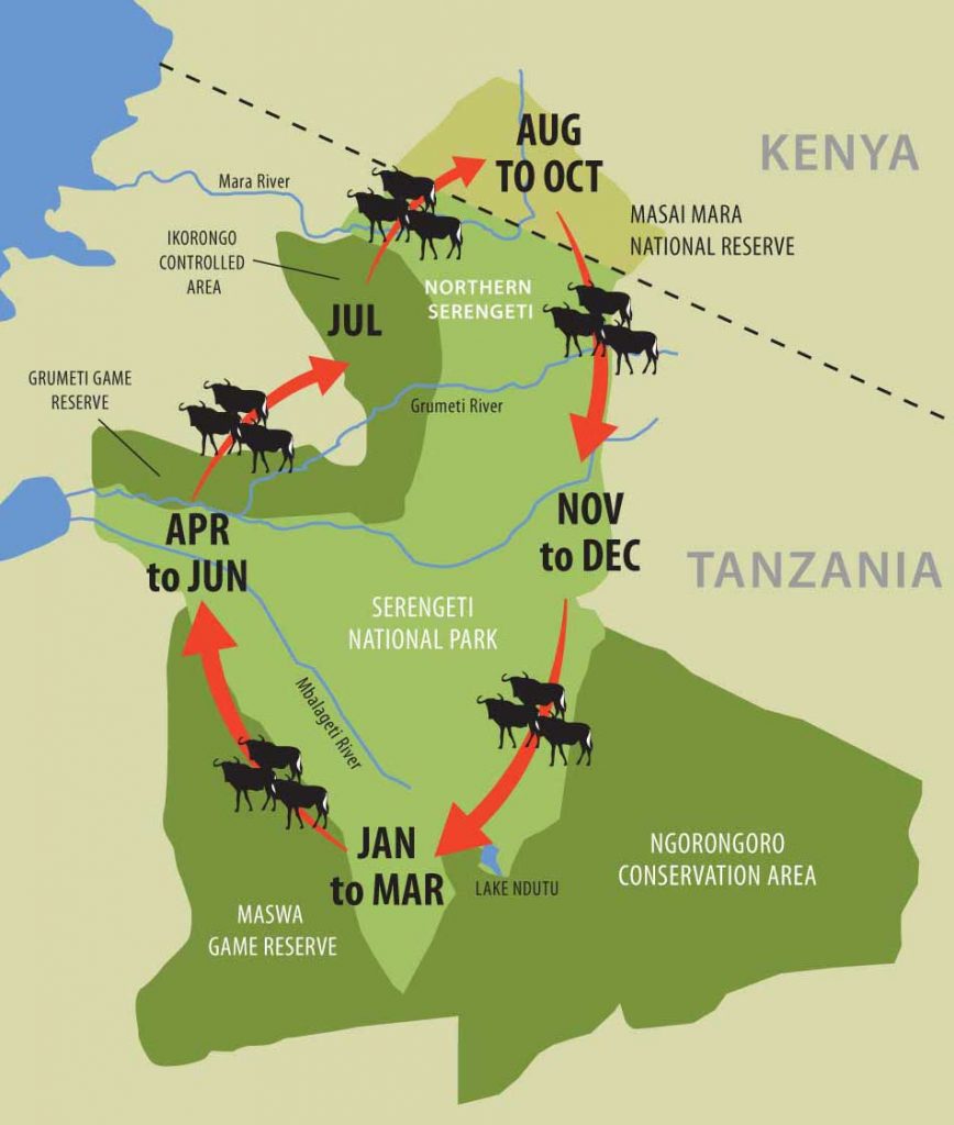 Wildebeest-map | Raja Tours