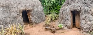 Marangu day Tour