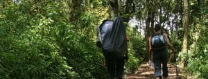Machame kilimnajro trekking