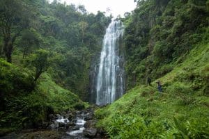 RajaTours Materuni day Tour
