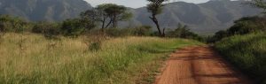 Road at Mkomazi