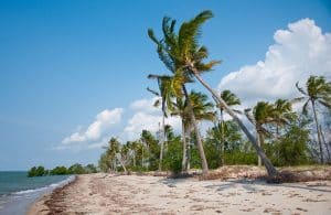 Saadani beach