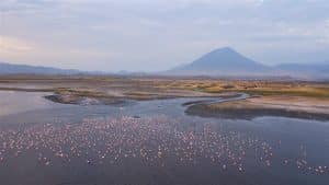 Oldonyo lengai Natron