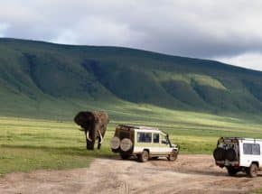 Ngorongoro game drive