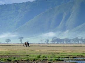 majestic_ngorongoro_crater