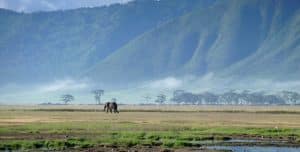 majestic_ngorongoro_crater