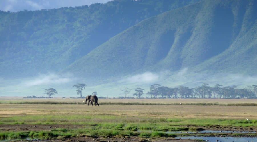 majestic_ngorongoro_crater