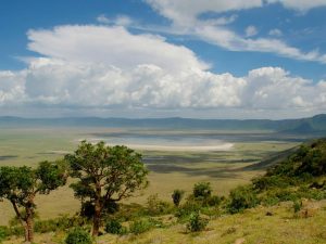 Ngorongoro highlands