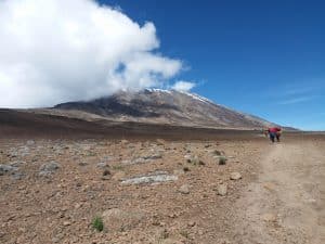 Kilimanjaro mountain trekking