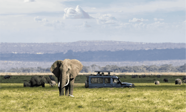 6 Days Kenya Safari Experience