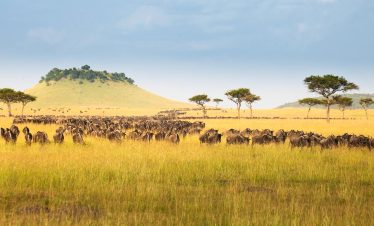 9 Days Kenya And Tanzania Safari