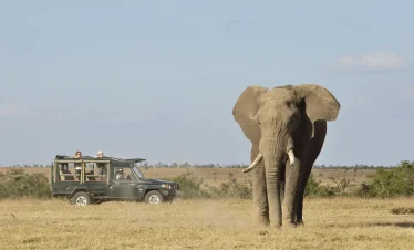 7 Days Best Kenya Mid-range Safari