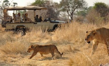 8 Days Selous, Mikumi And Kilwa Beach