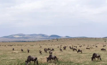5 Days Kenya And Tanzania Adventures