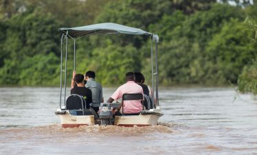 4 Days Best Of Tanzania Safari