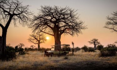 3 Days Safari to Nyerere National Park