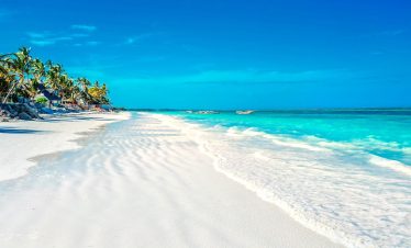10 Days Tanzania Safari And Zanzibar