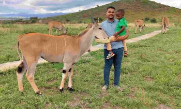 1-Day Serval Wildlife Tour