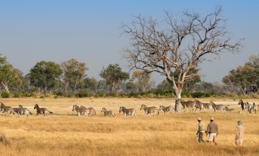3-Day Okavango Delta Gomoti River Lodge Safari